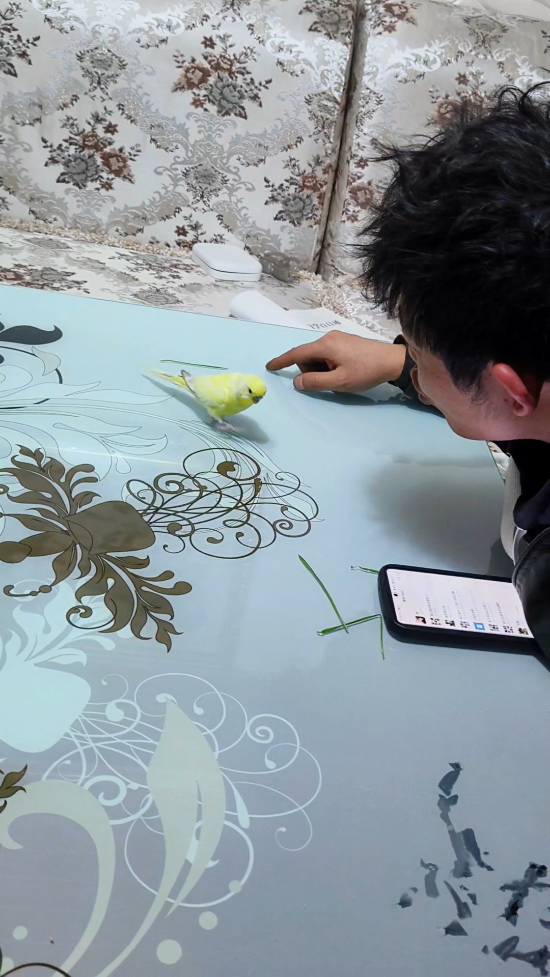 好可爱的小黄鸡宝宝啊。