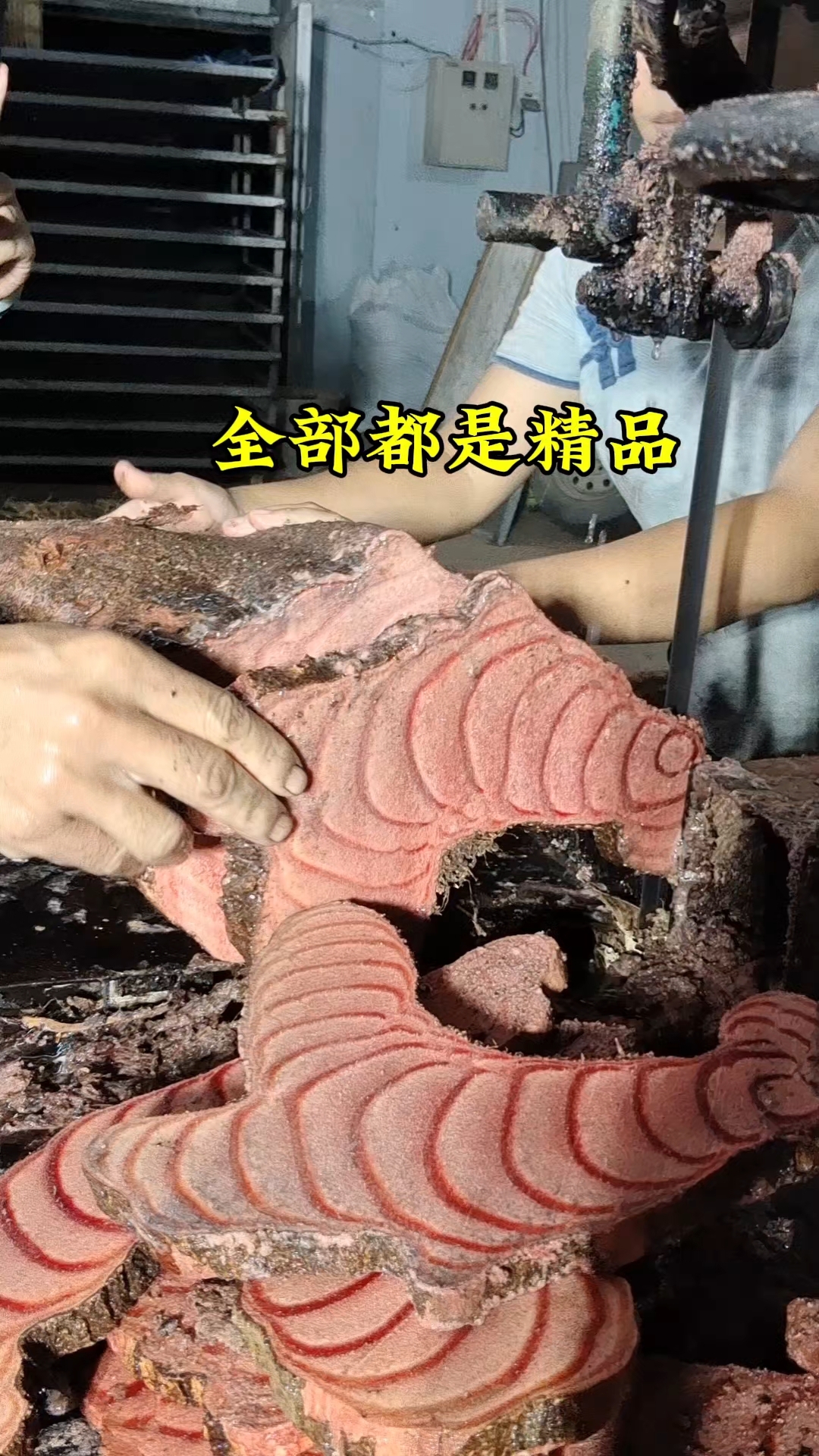 广西深山野生鸡血藤,精品