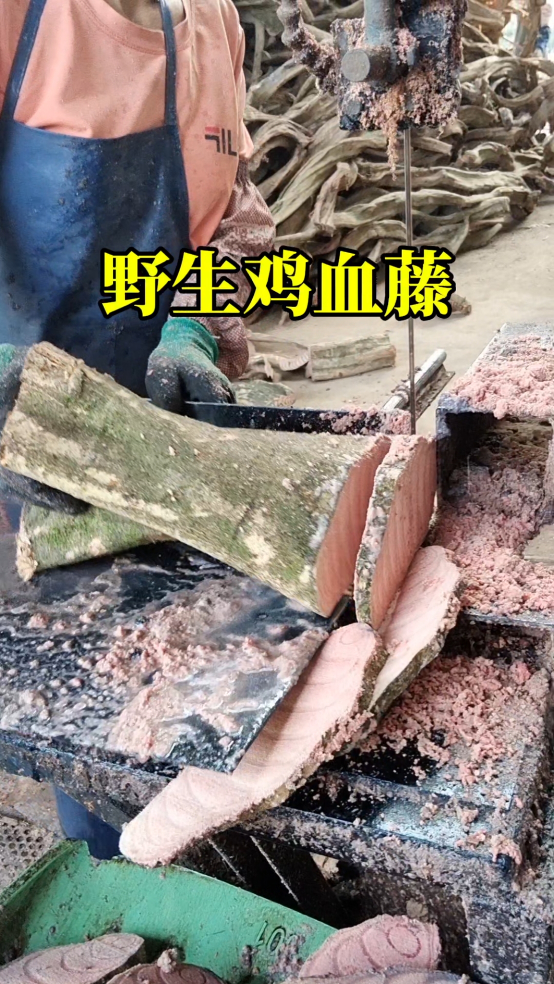 你了解野生鸡血藤