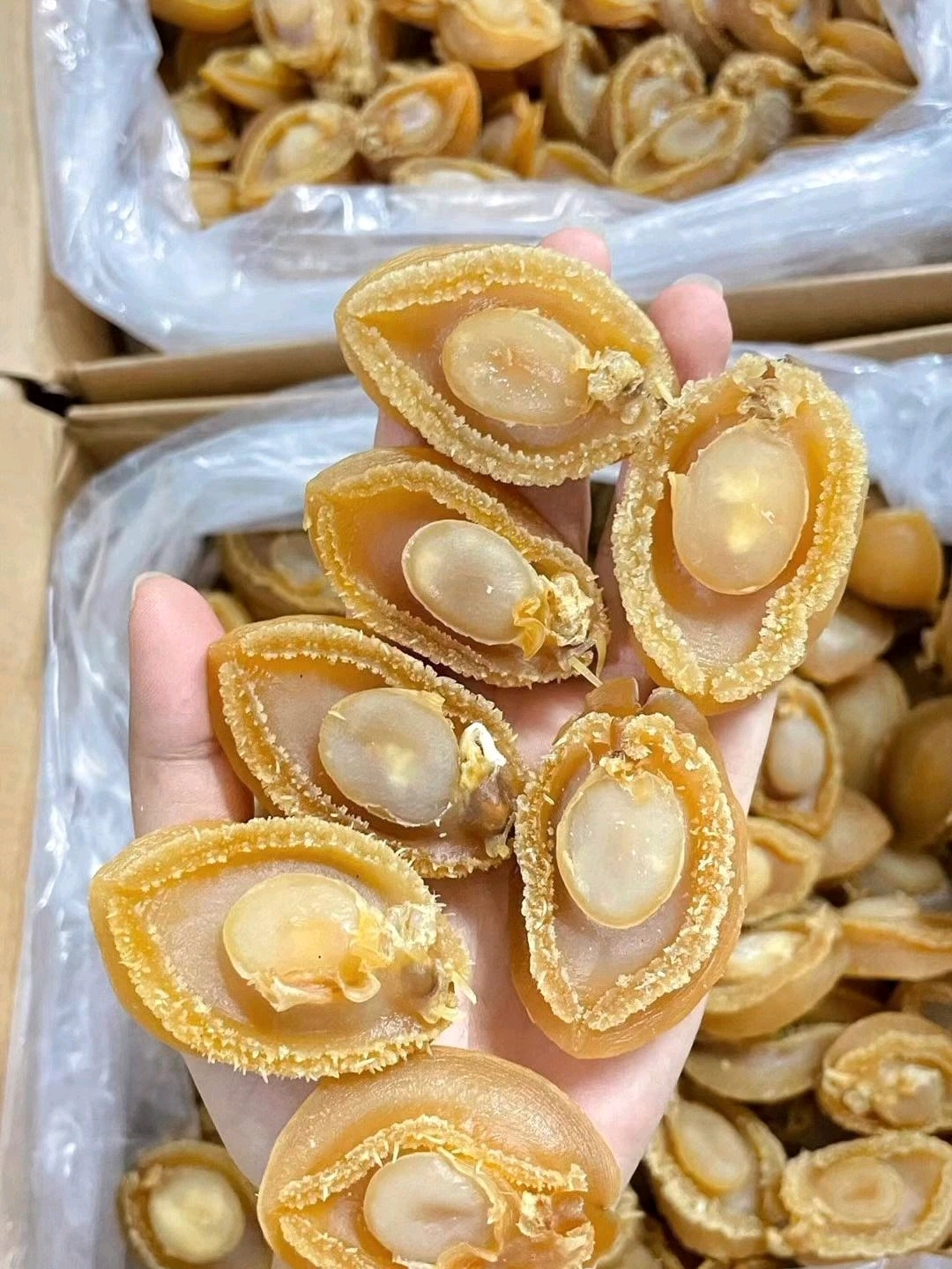 黄金鲍鱼干质地酥脆,口感独特富含胶原蛋白