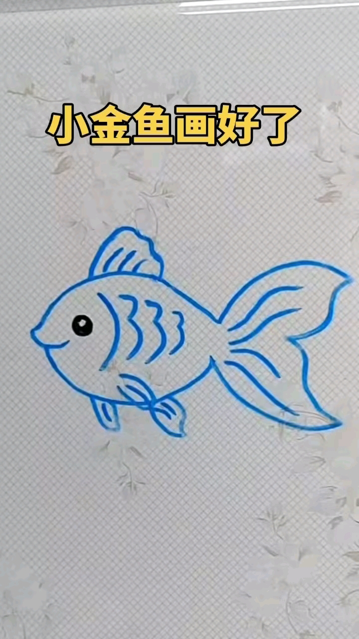 鱼的简笔画