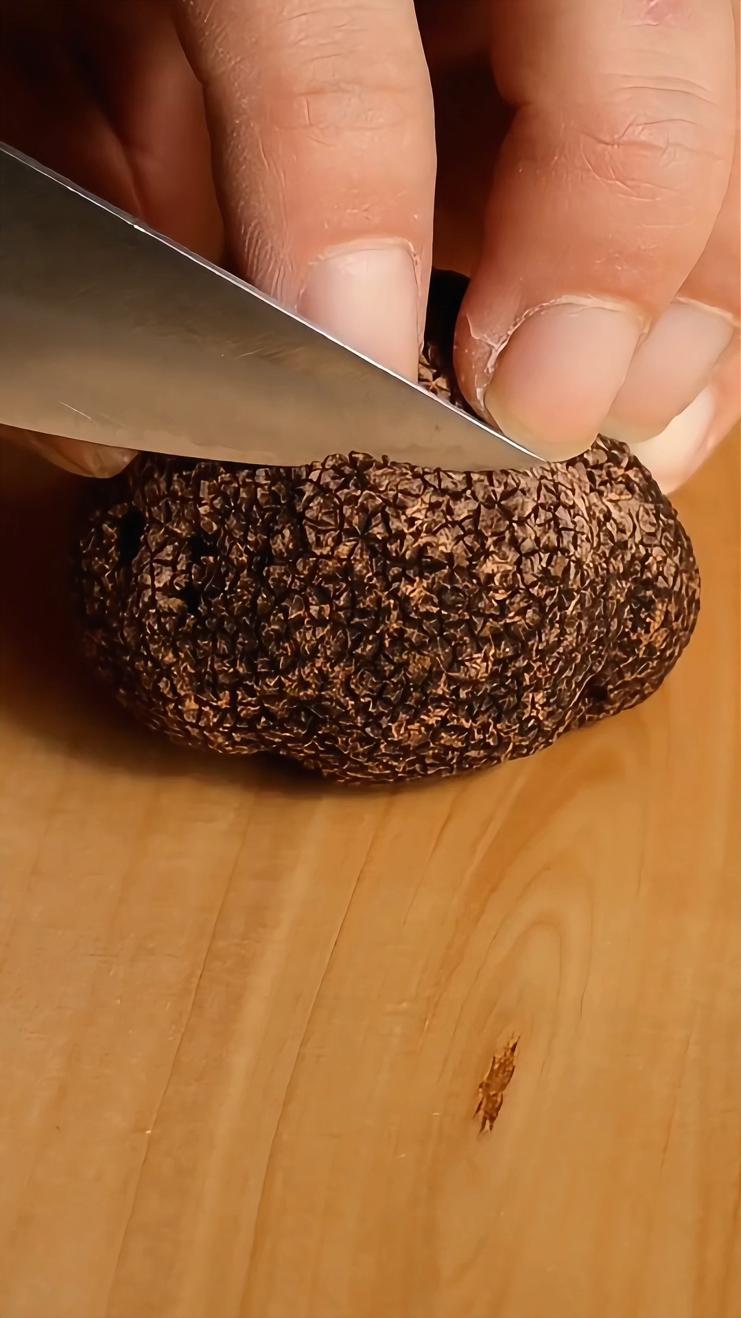 带你认识14种顶级食材，你吃过几种？#顶级食材#世界顶级食材