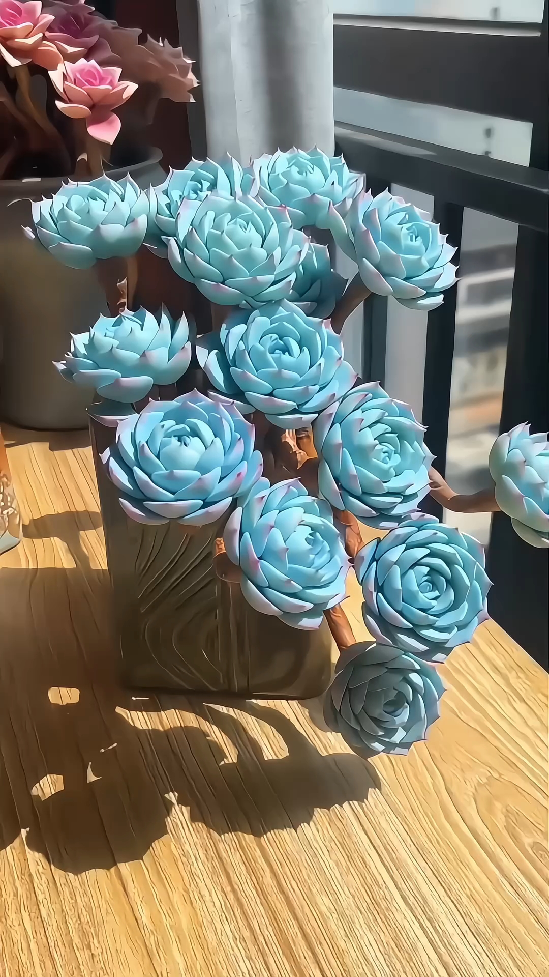 精心收藏30种多肉？每一种都很奇特，你养过几种呢？#多肉#盆