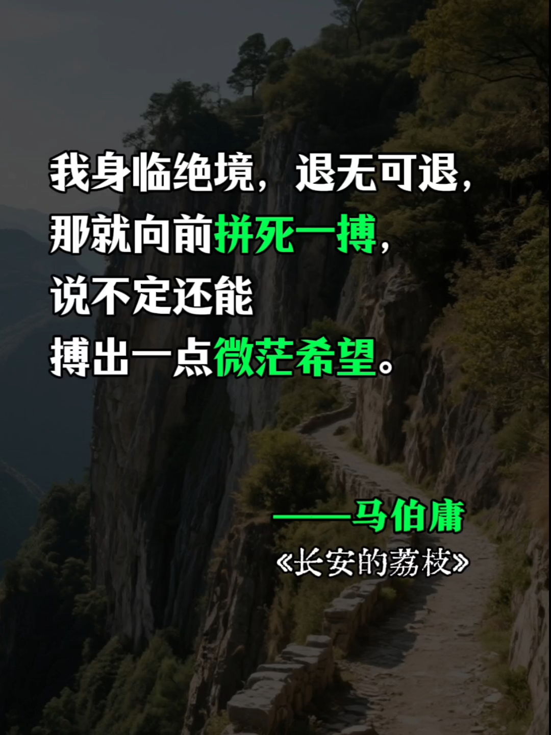 《长安的荔枝》那些平淡却封神的句子,字字诛心,看透人生!