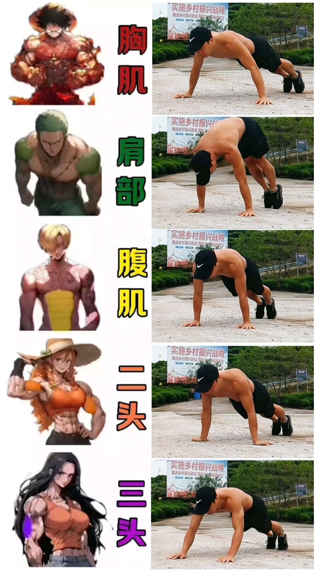 五个动作,锻炼胸肌腹肌和手臂肩膀肌肉群