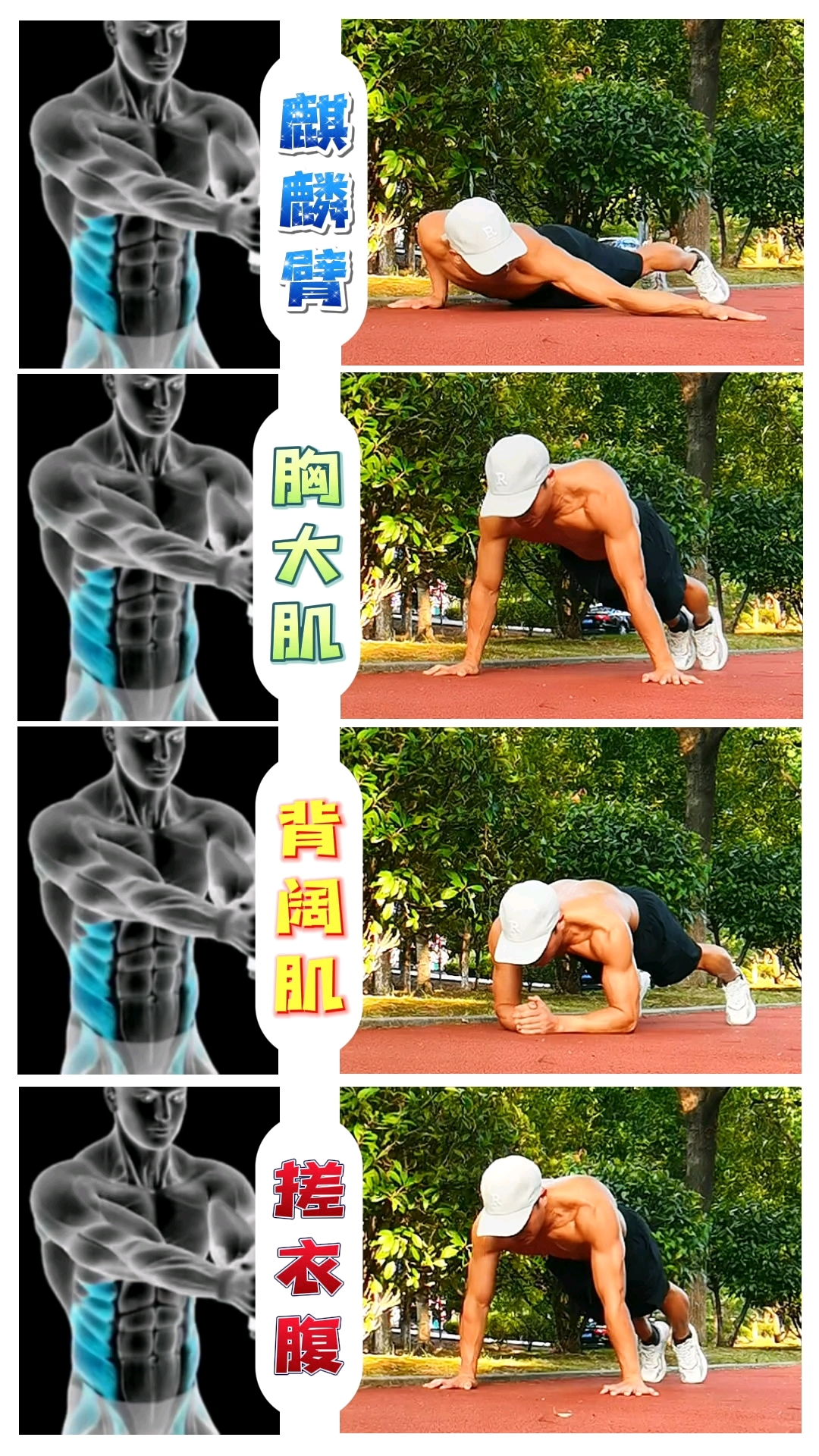 四个动作,上半身肌肉练起来