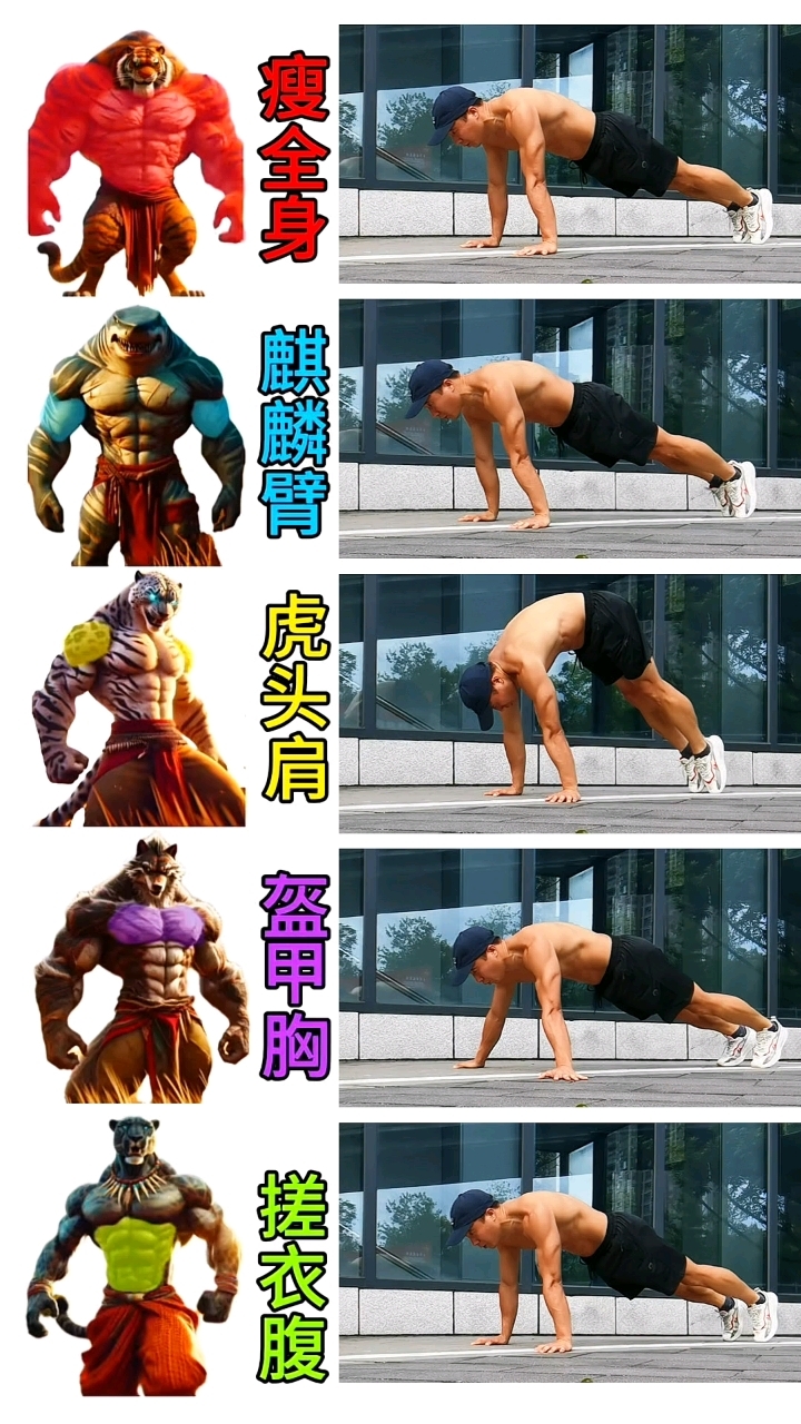 五个动作,打造上半身肌肉群 