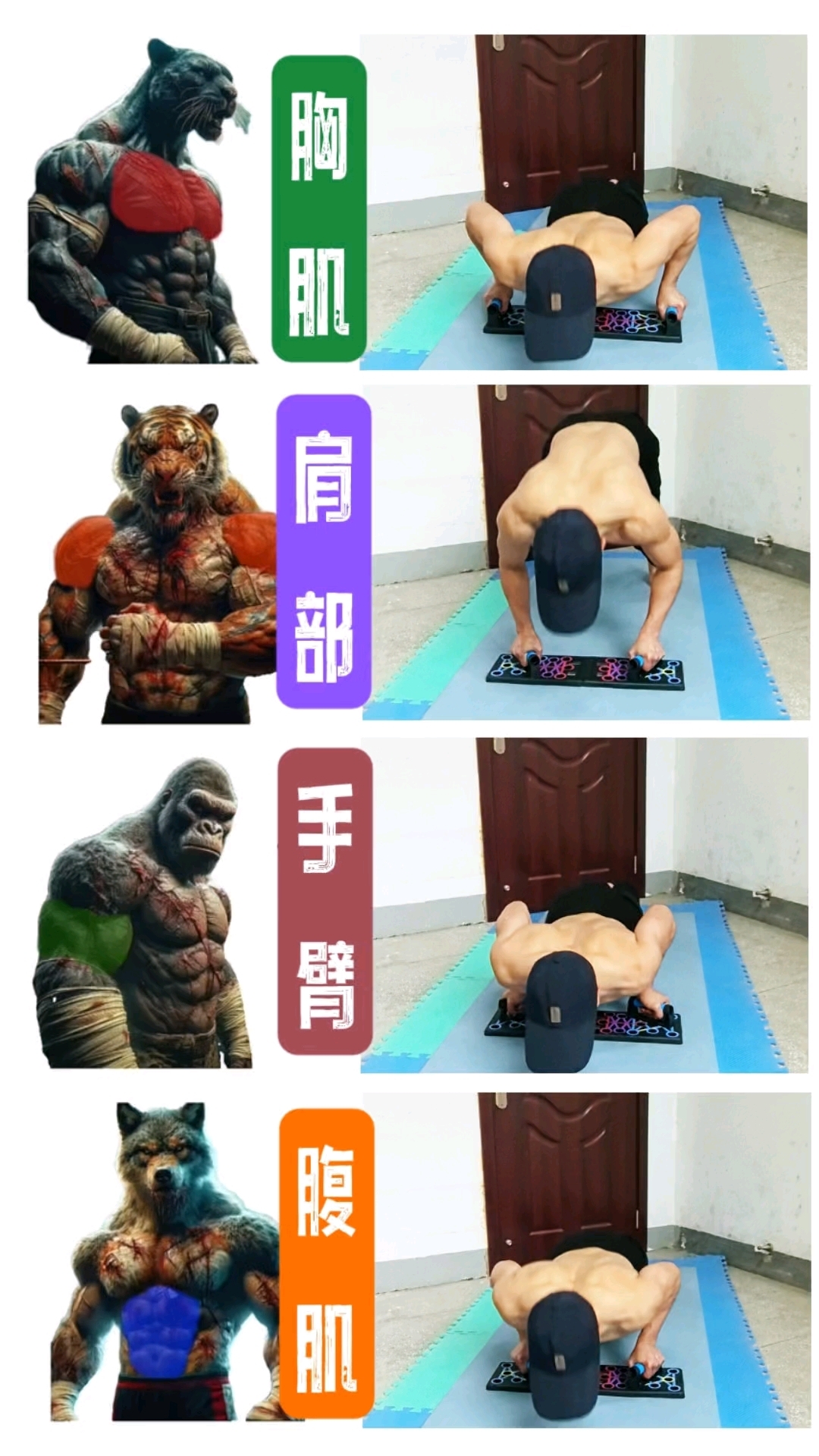 八块腹肌怎么练 肌肉线条怎么练 四个动作练起来