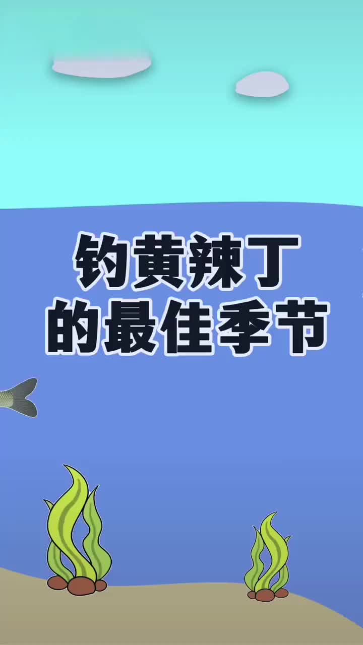 钓黄辣丁的最佳季节和时间你知道吗?