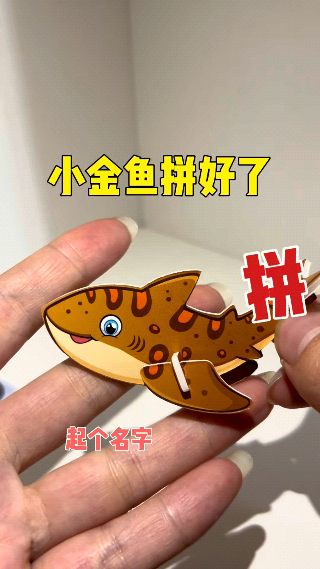 小金鱼拼好了,给他起个名字吧。