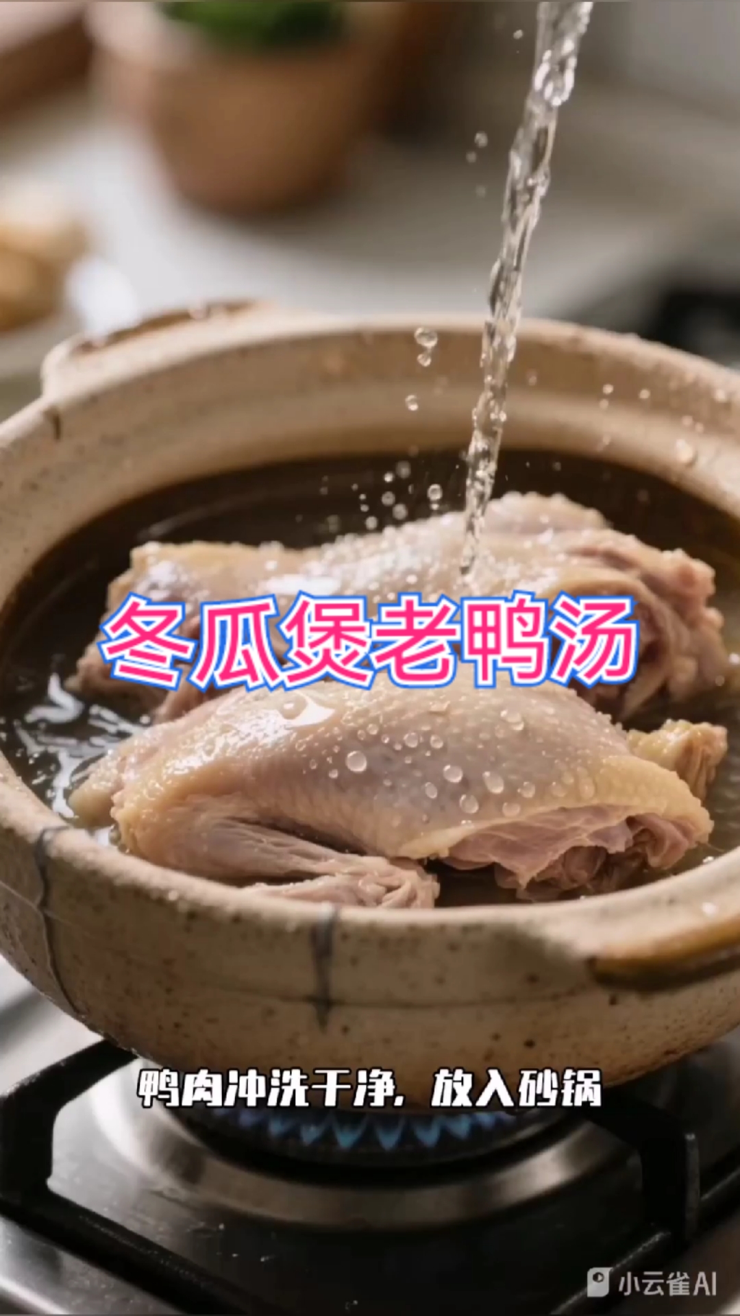 冬瓜煲鸭汤