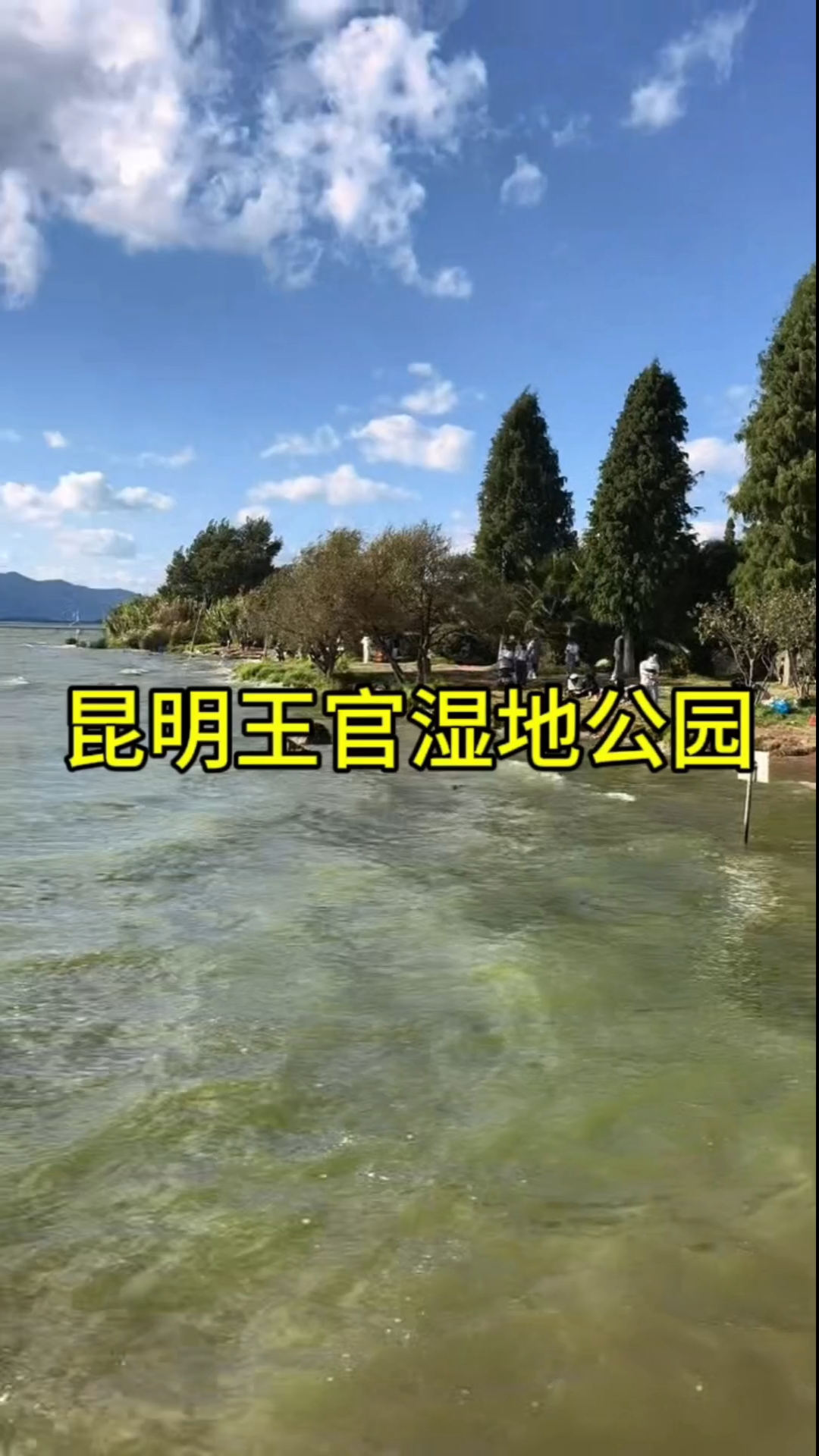 喜欢云南昆明的气候，到免费公园王官湿地公园好好玩一玩。