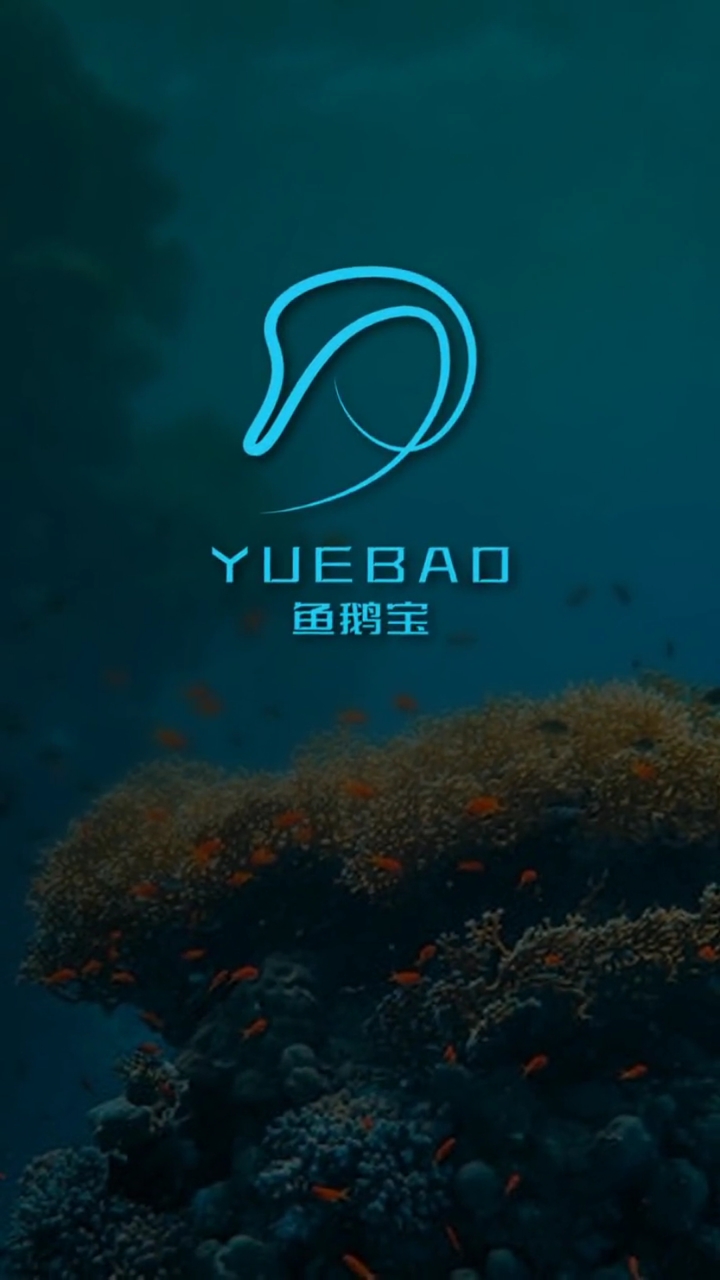 鱼鹅宝logo设计