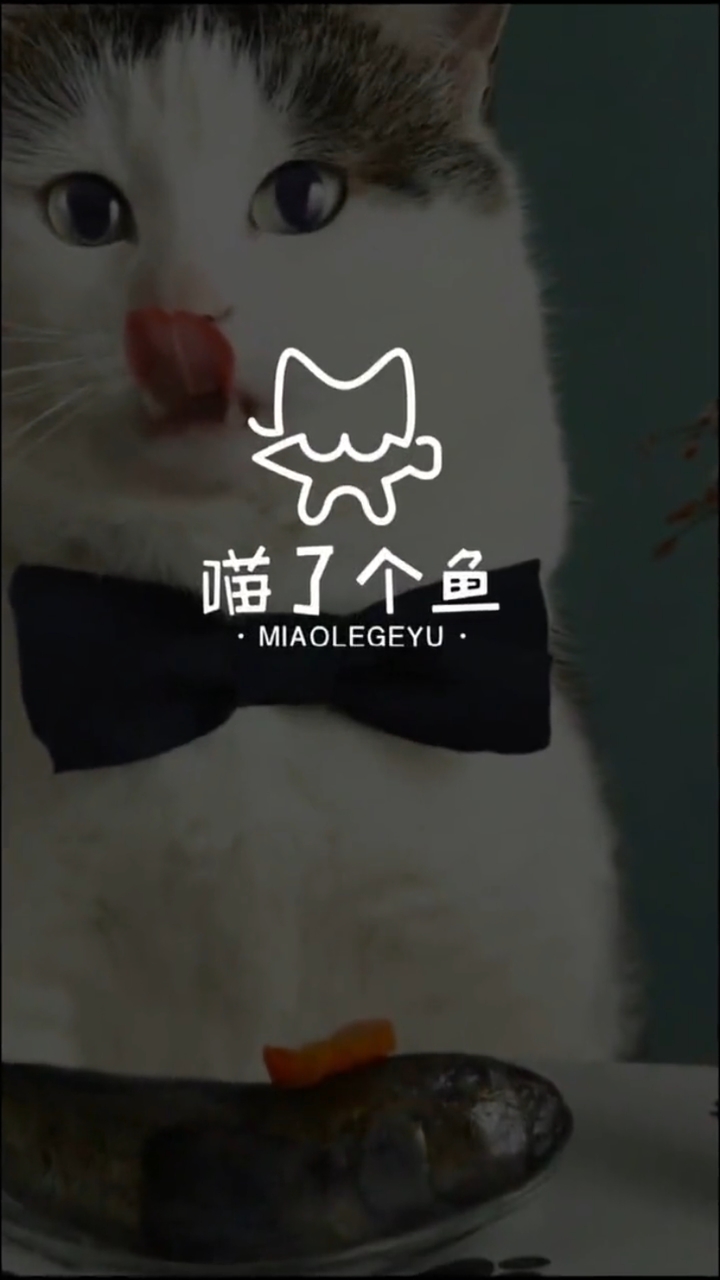 喵了个鱼logo设计