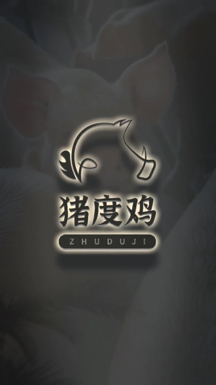 创意logo设计