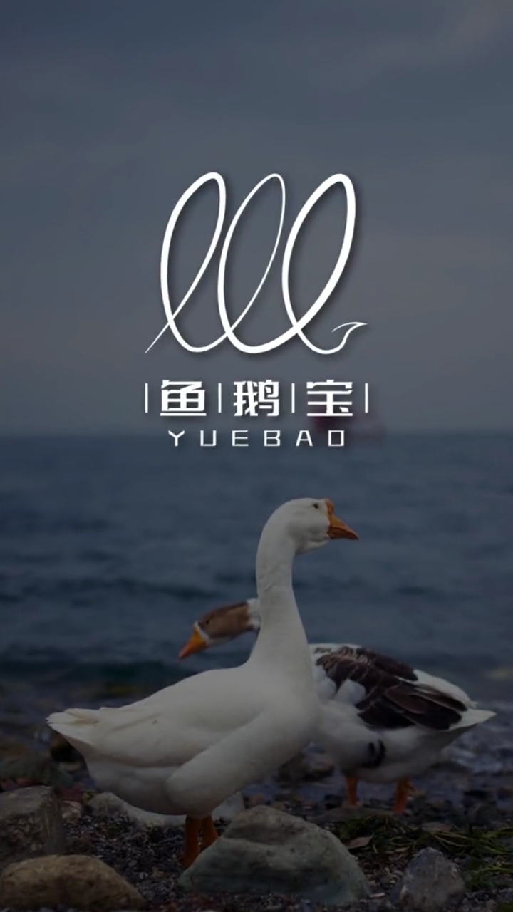 鱼鹅宝logo设计