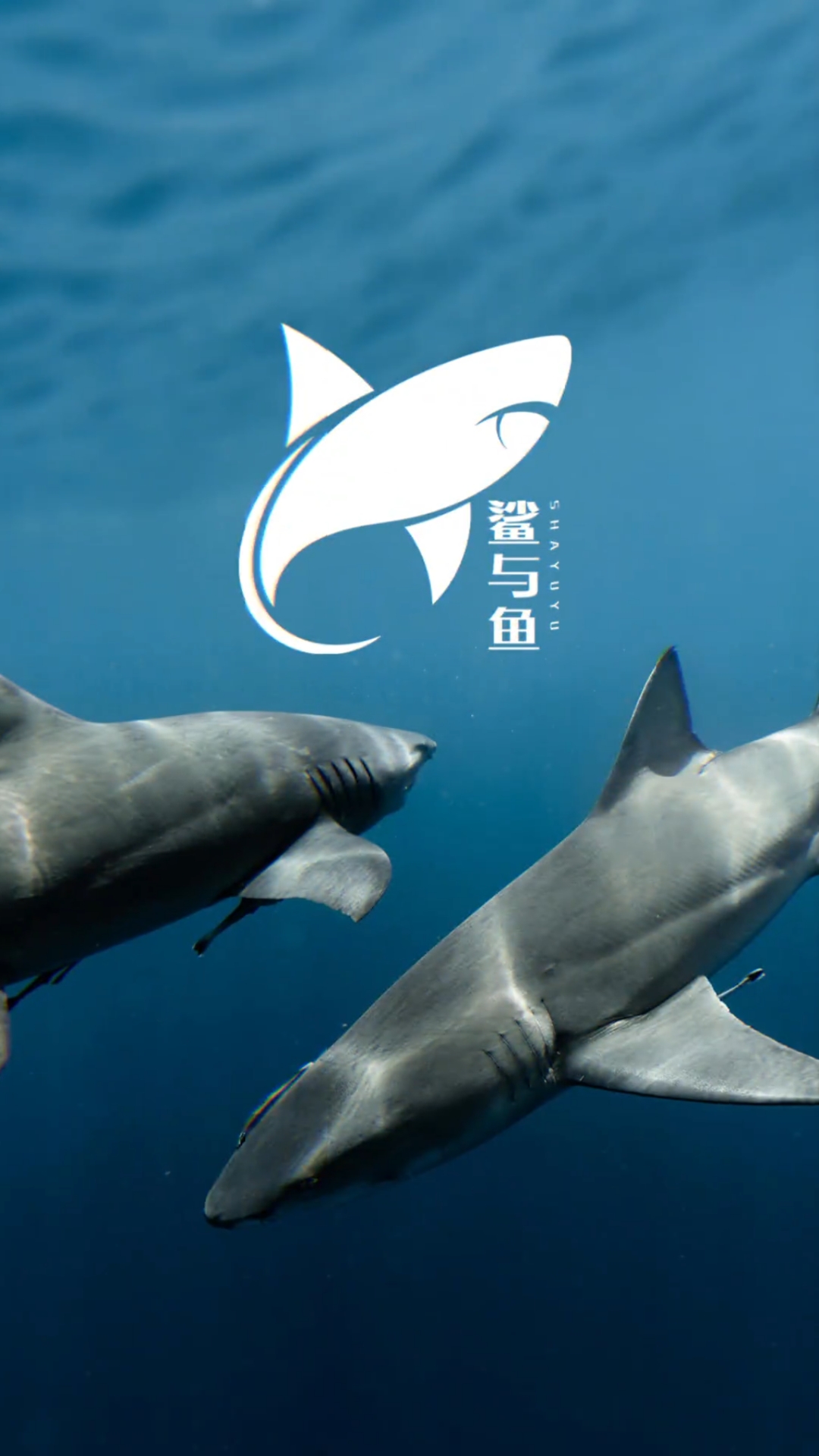 创意logo设计