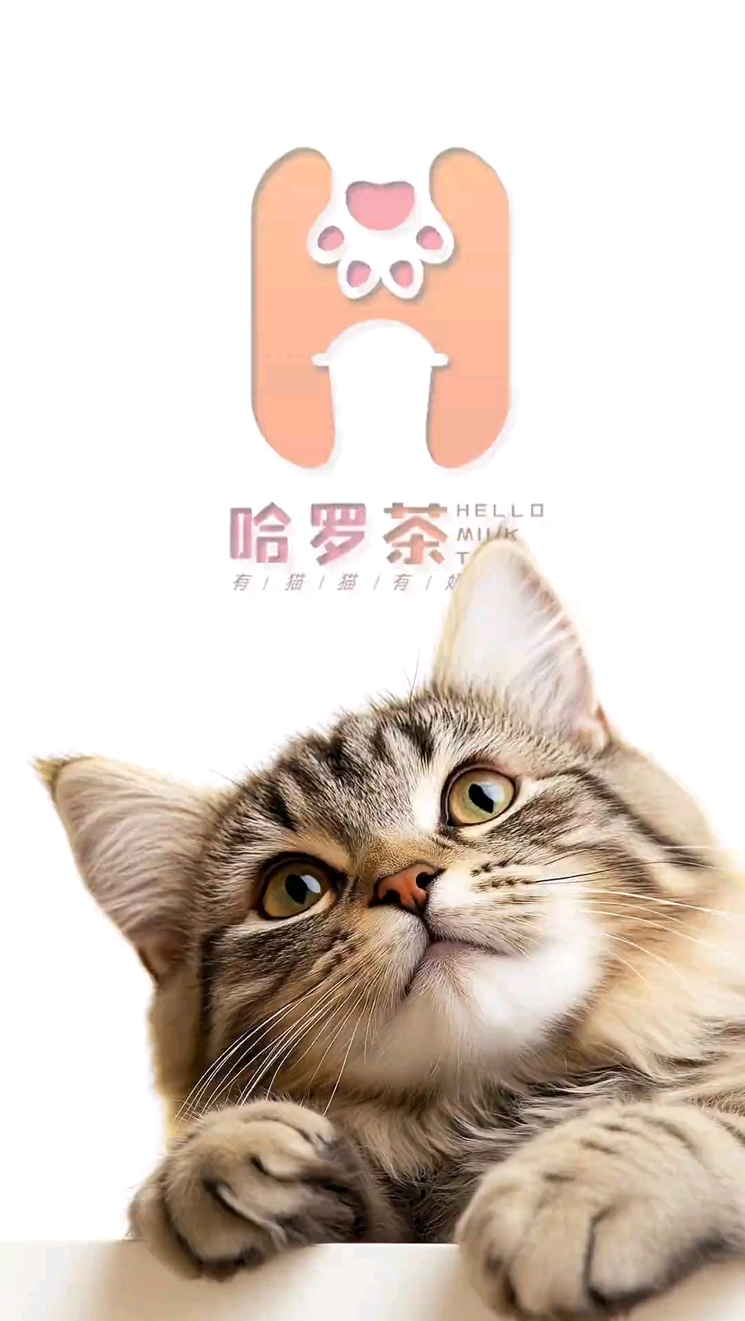 创意logo设计