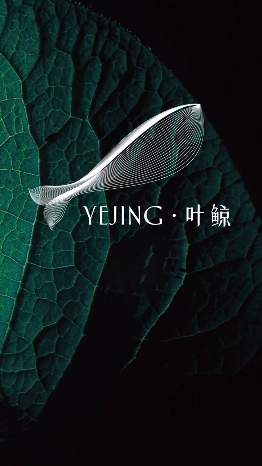 创意logo设计
