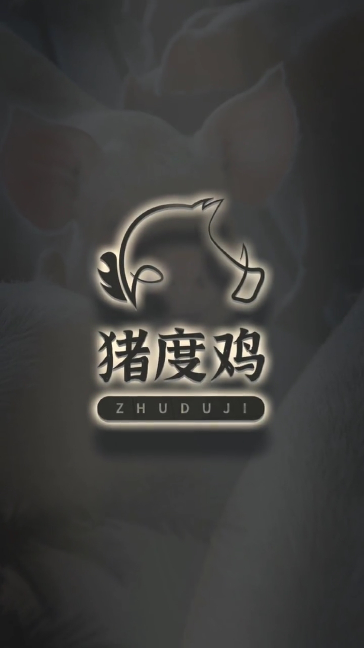 猪度鸡logo设计