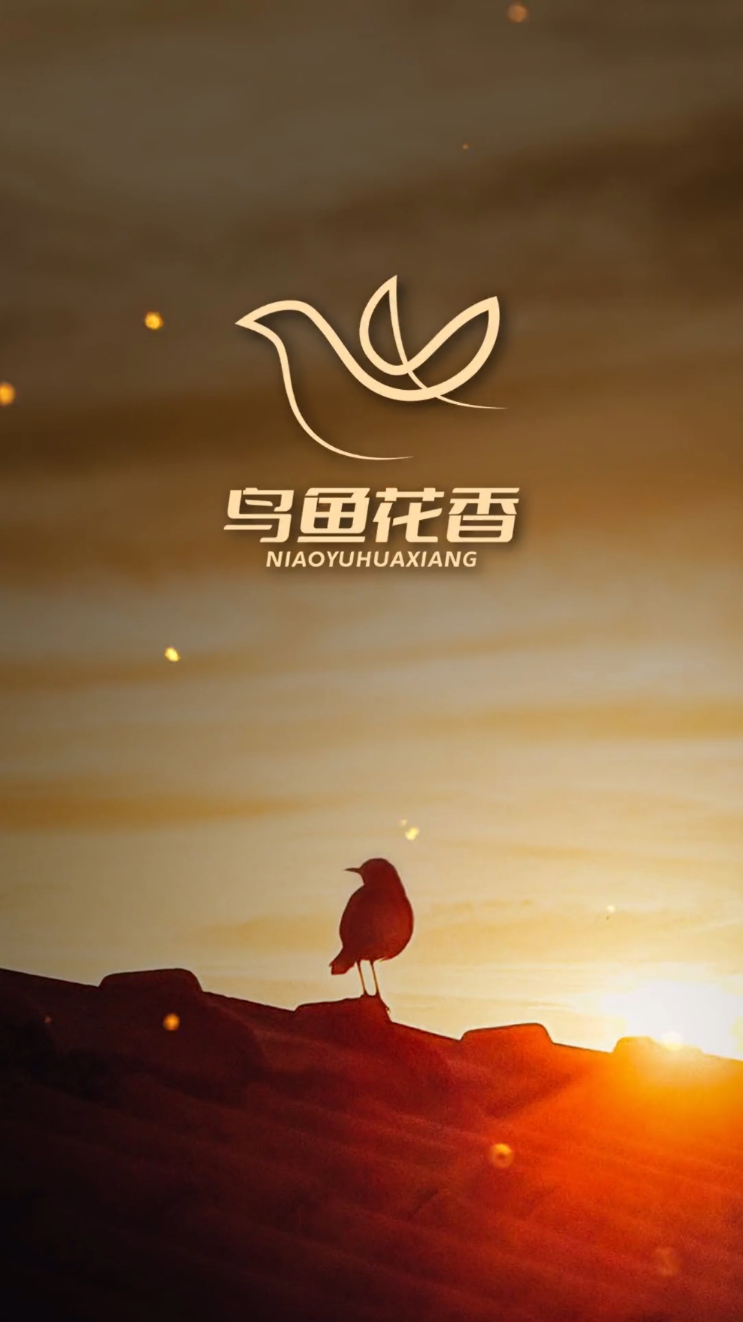 鸟鱼花香logo设计