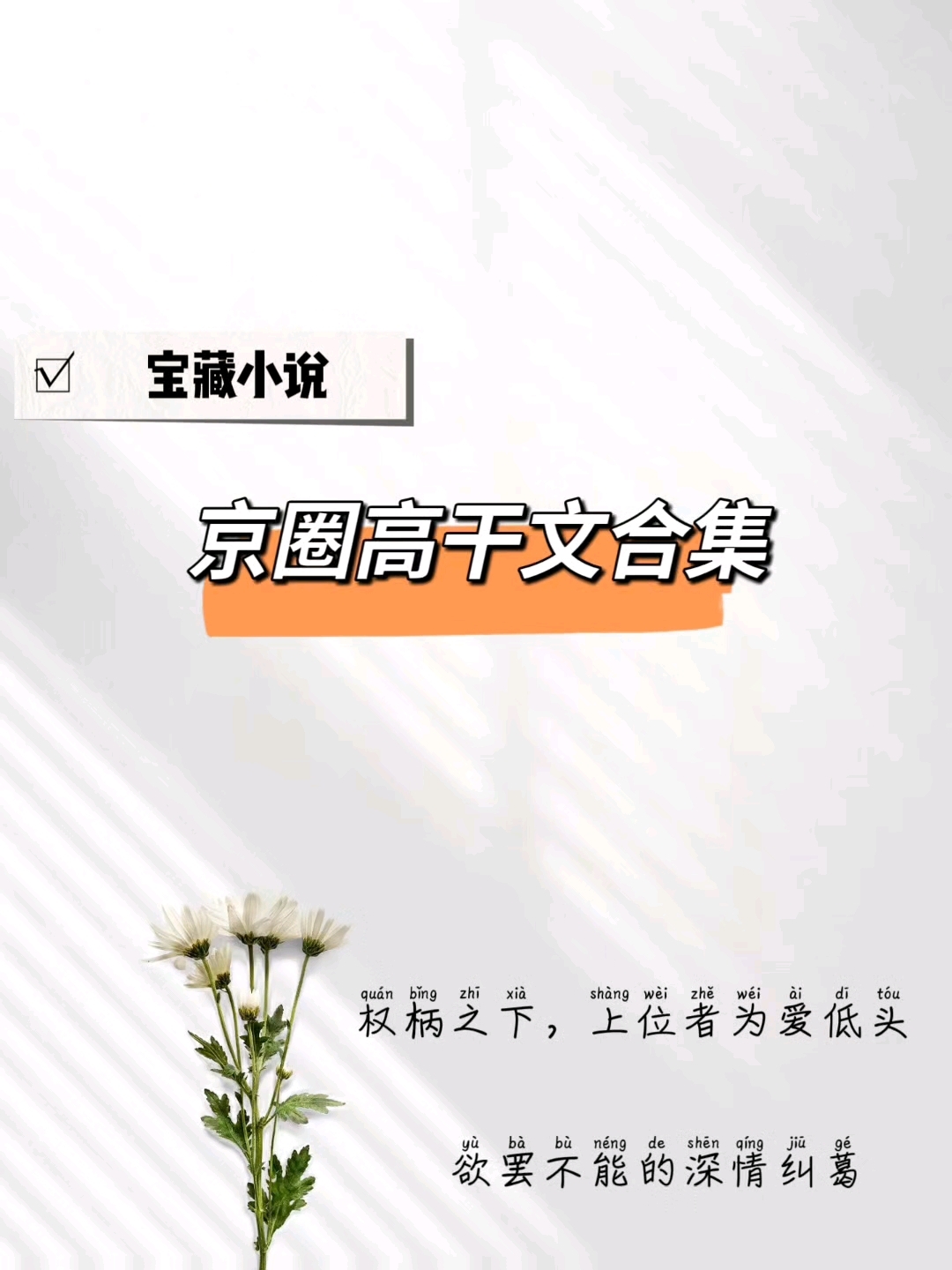 必看的京圈高干文合集,每一本都很绝,《京洛再无佳人》yyds