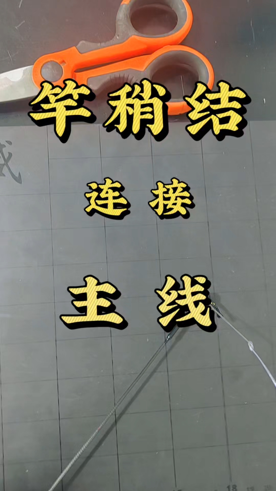 #优质视频激励计划#竿稍结,主线连接竿稍#钓鱼线打结技巧# #竿稍结连接主线# #渔具绑线
