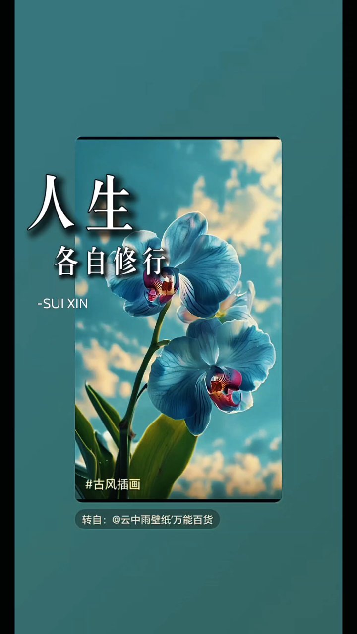 分享视频