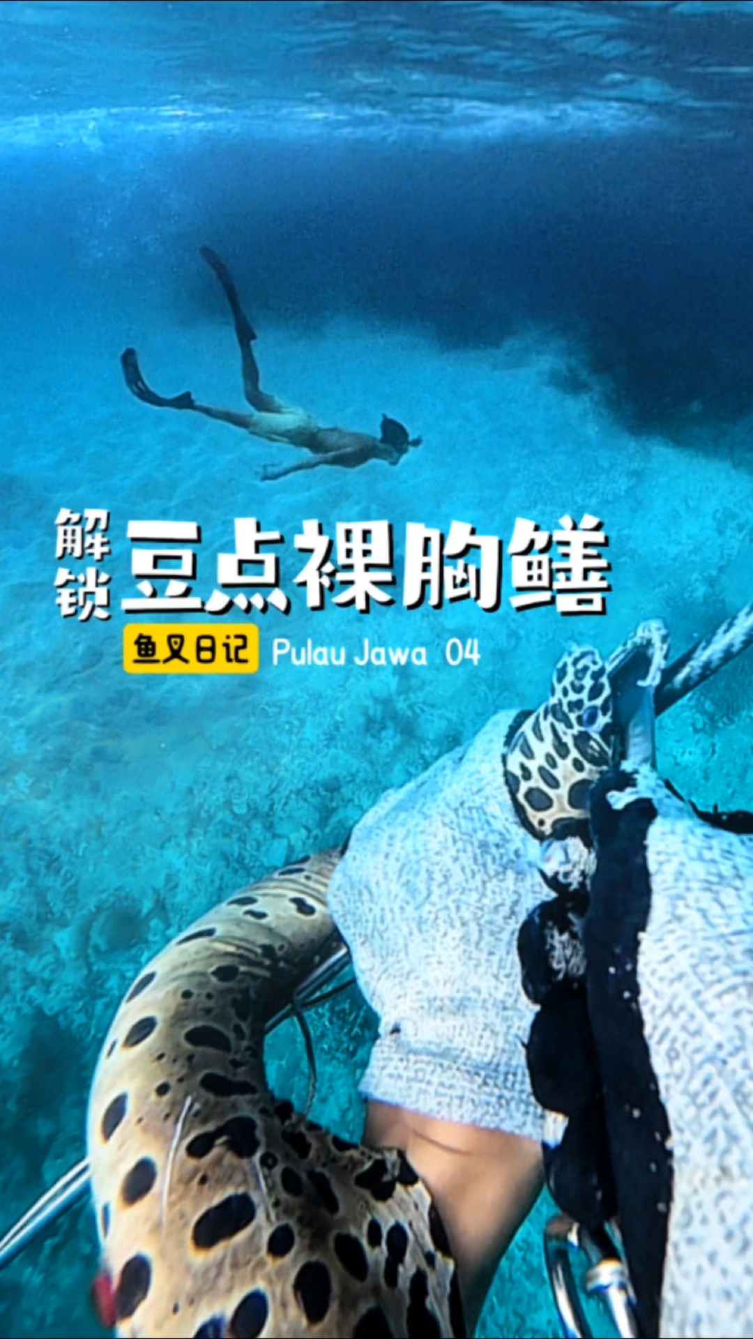欧耶,解锁新品种,豆点裸胸鳝。探索爪哇岛 第四集
