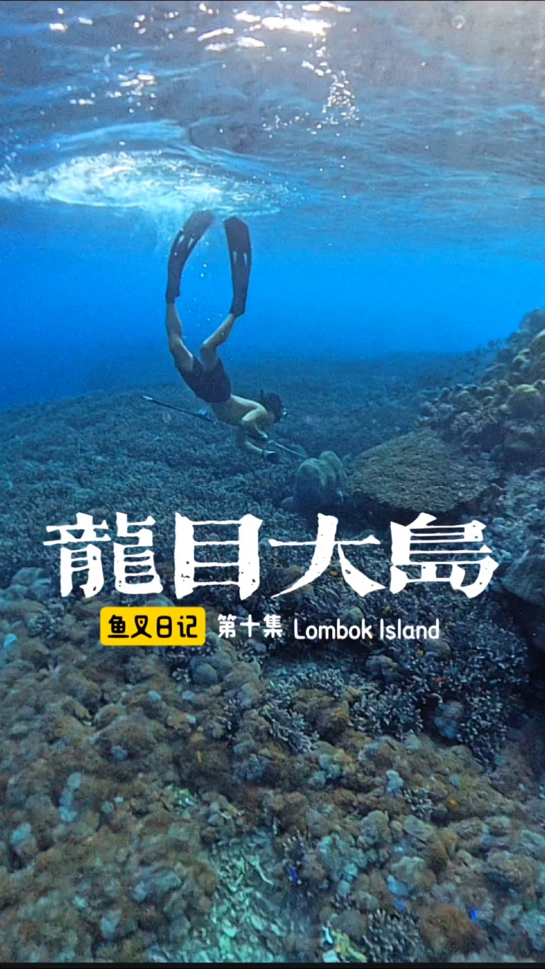 龙目岛大岛 鱼叉日记 第十集
