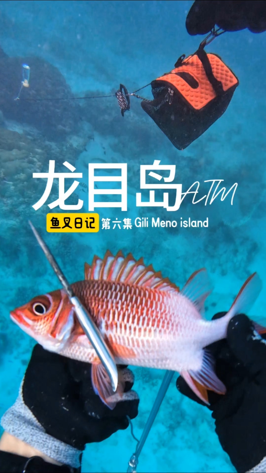 龙目岛ATM吉利群岛 鱼叉日记 第六集