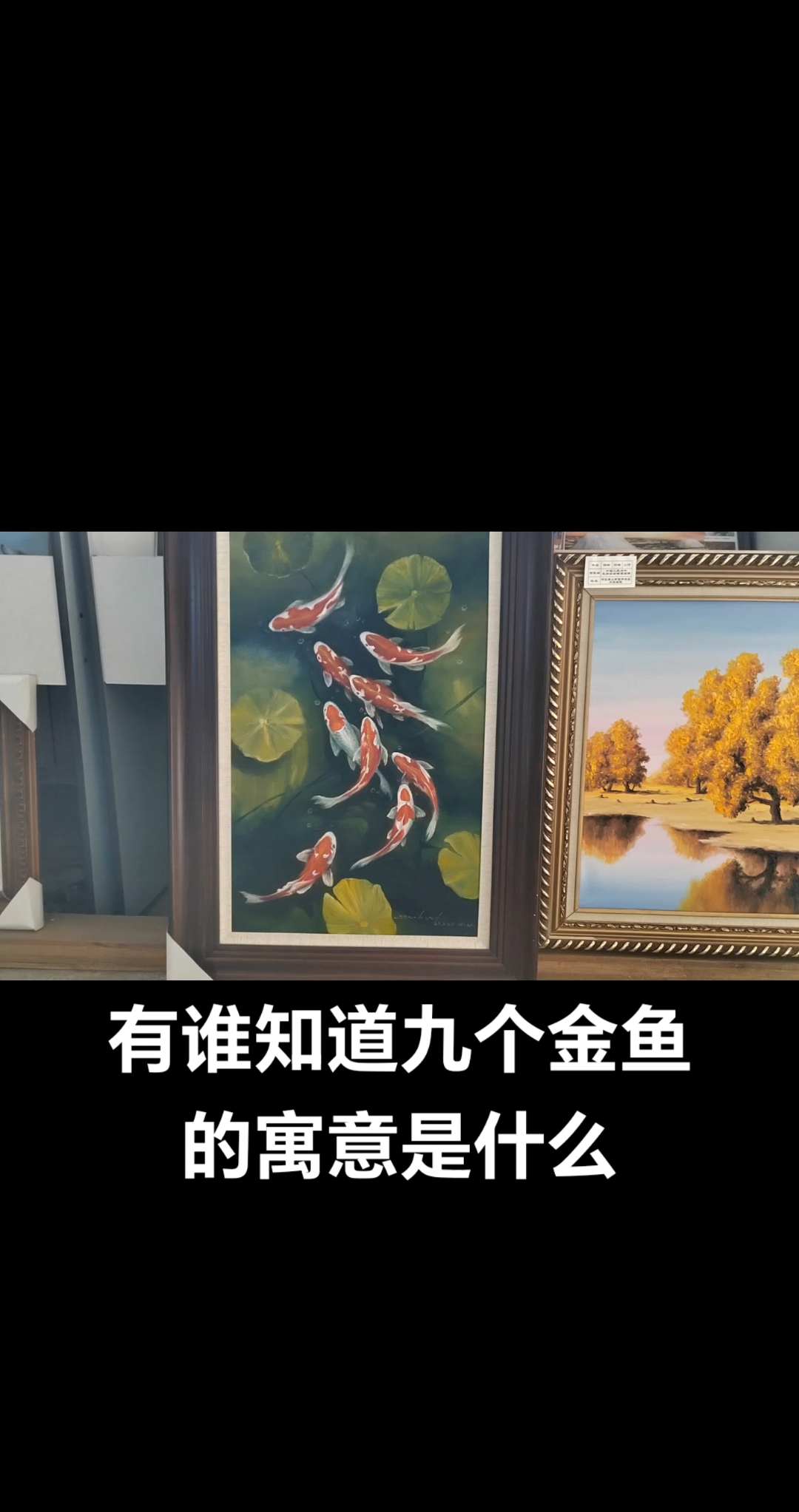 人们为什么喜欢金鱼