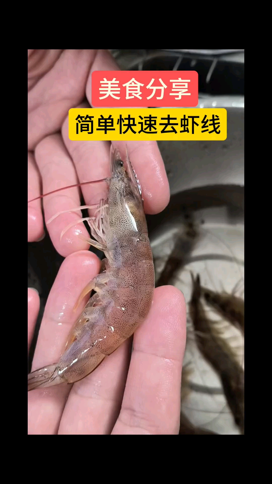 如何简单快速去虾线?分享生活中自己发现的一个方法,记得收藏哦