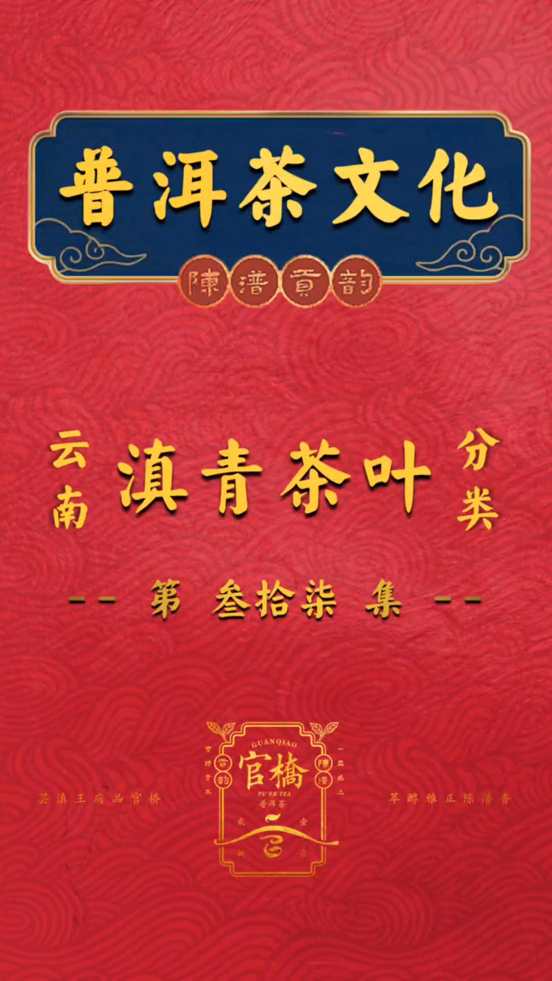 37集-云南滇青茶叶分类,官桥陈潽贡韵#普洱茶文化