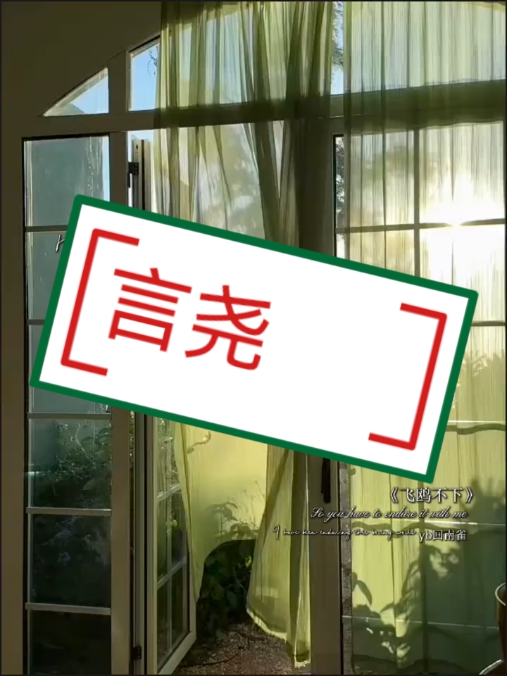飞鸥不下来啦