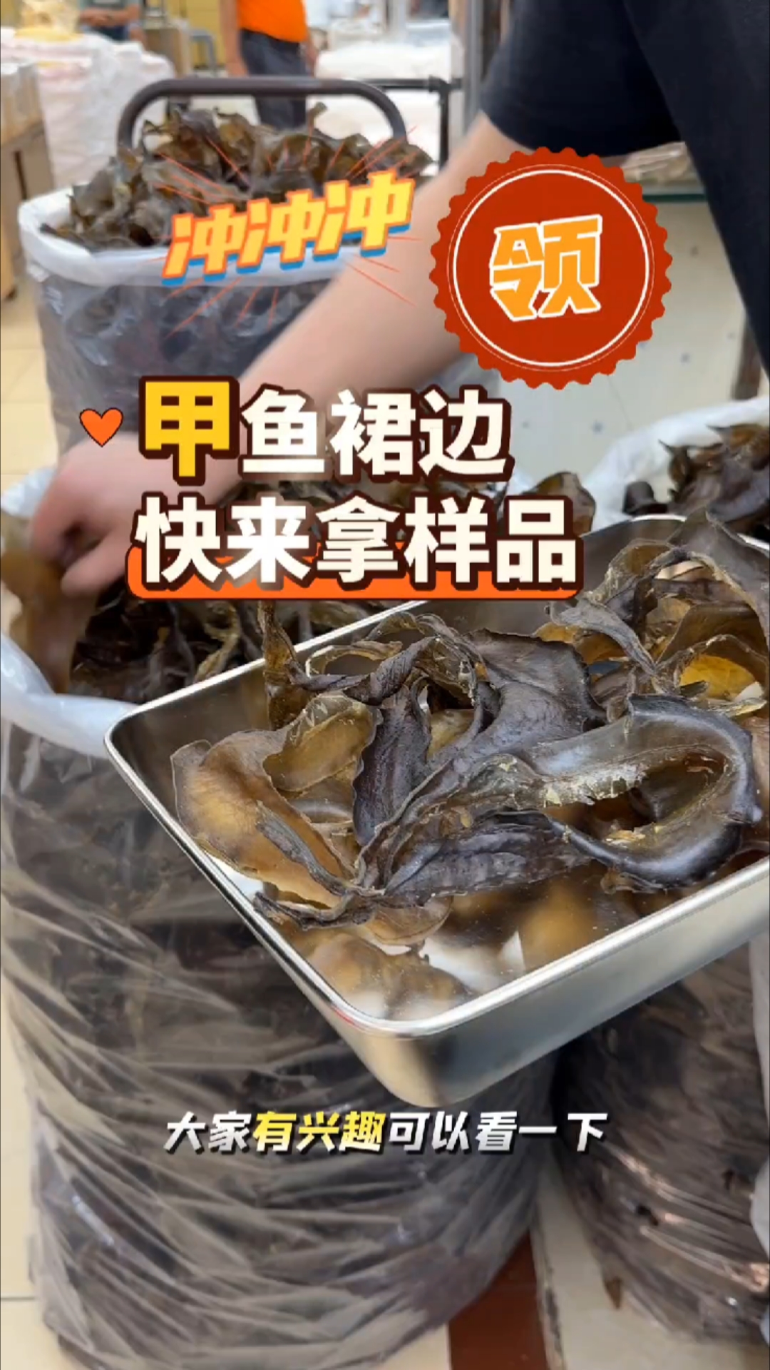 甲鱼裙边干300斤,快来拿点#甲鱼裙边 