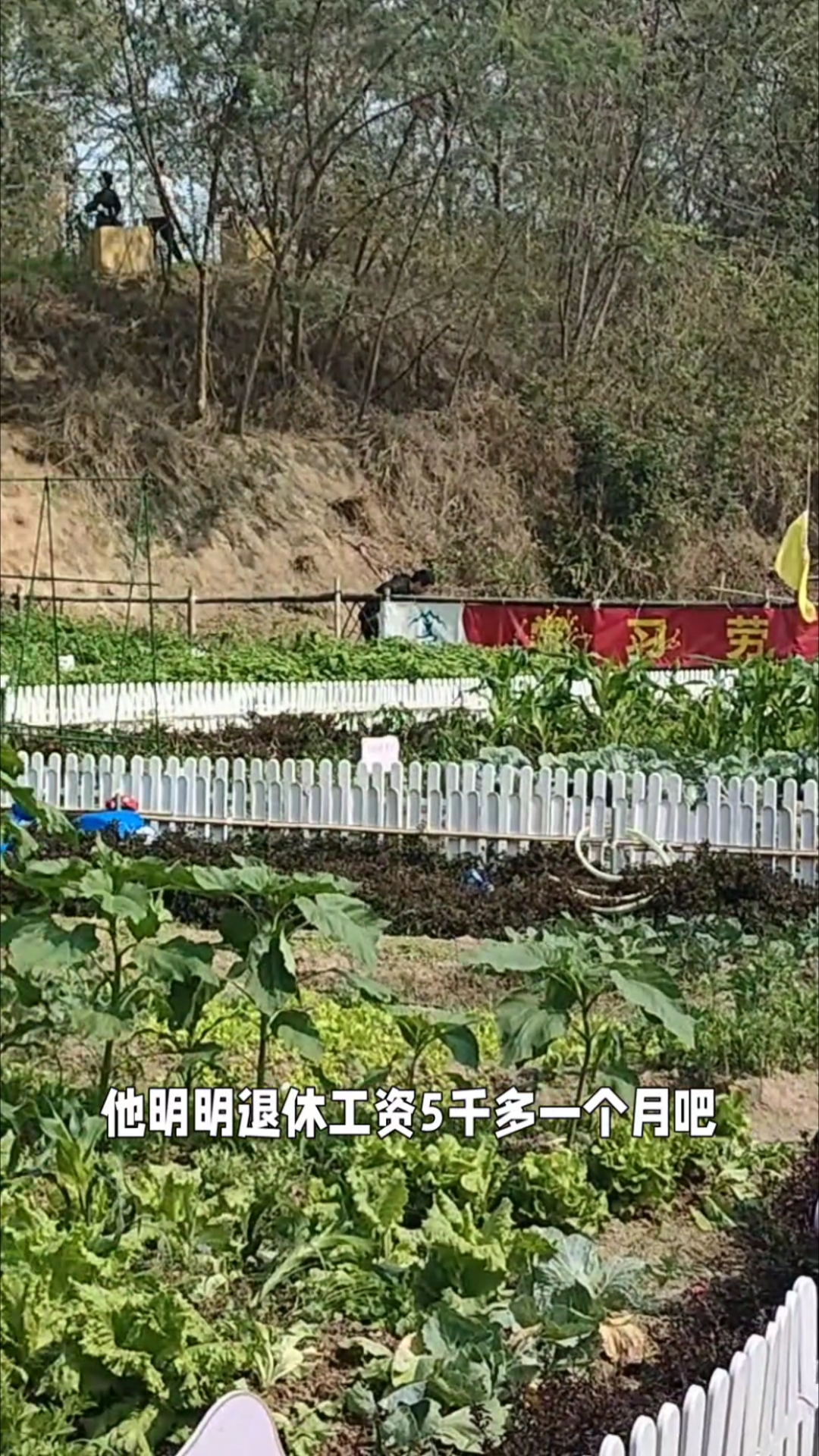 我爸做菜,一般都是四个菜,真的几乎很少有一个大荤菜,每次都是