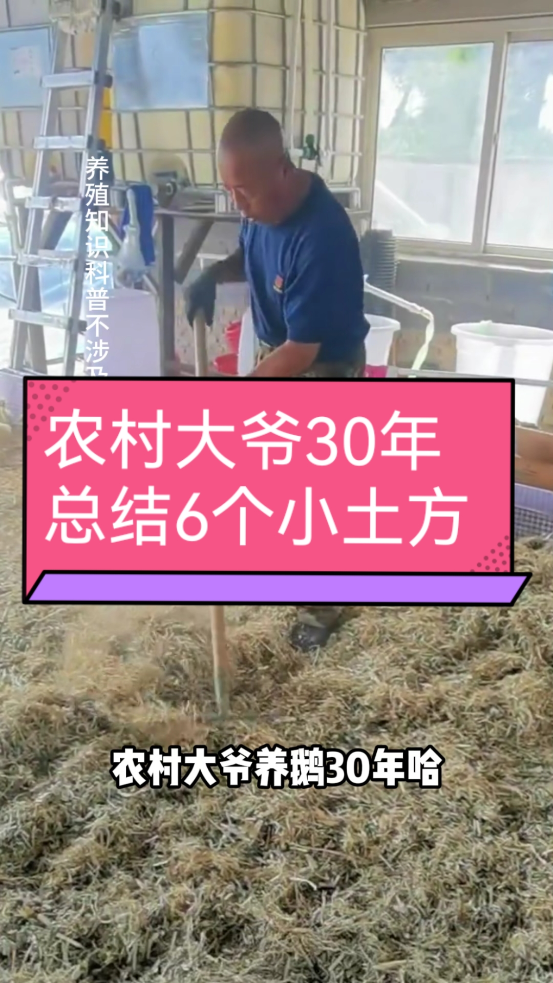 农村大爷养鹅30年，总结的6个小土方