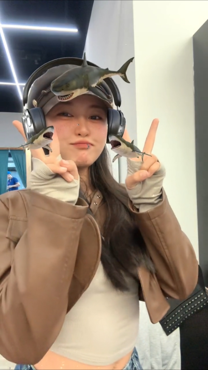 美人鲨鱼来了