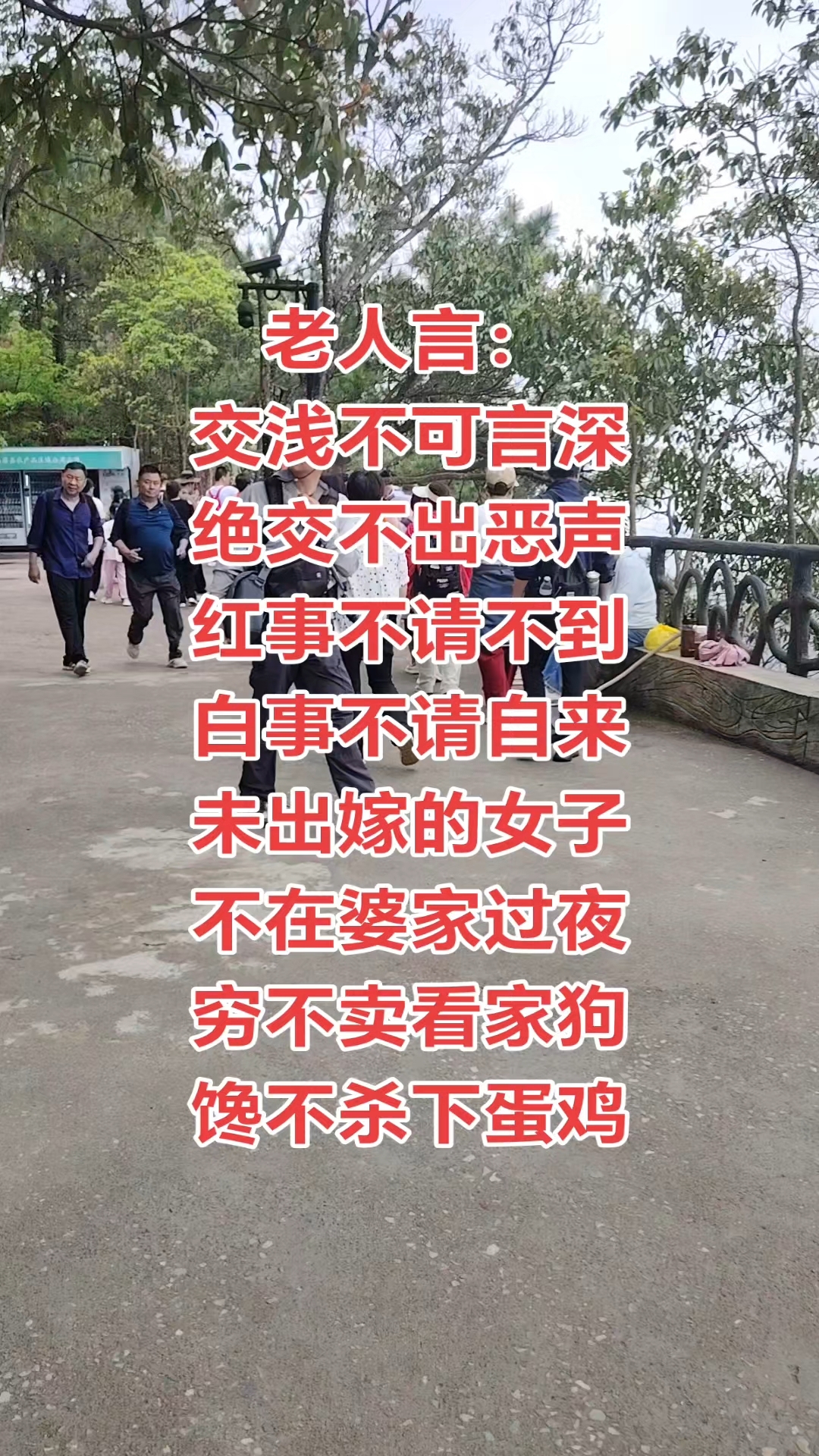 馋了不要杀下蛋的鸡。