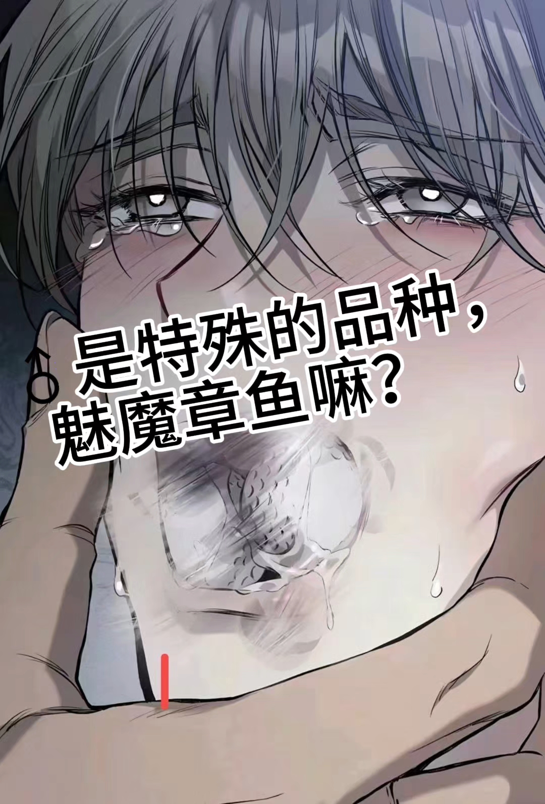 后续在老~福~特书名[饼干章鱼 ]
