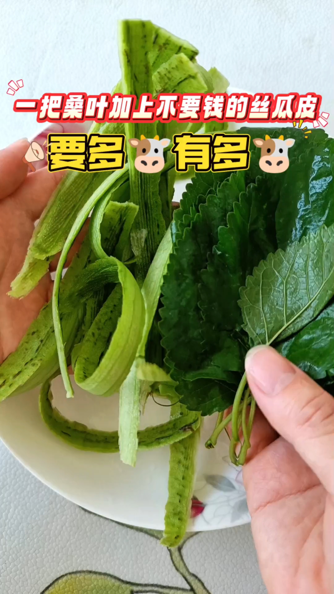 桑叶配丝瓜皮,要多牛有多牛