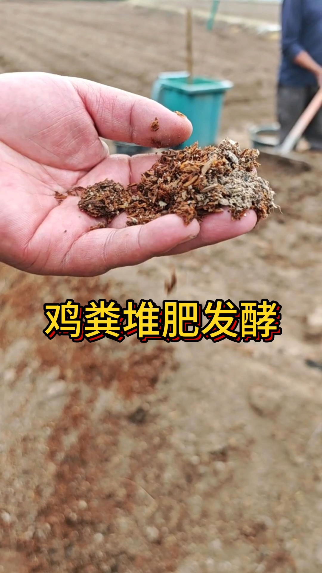 鸡粪堆肥发酵#三农#三农种植#农村生活