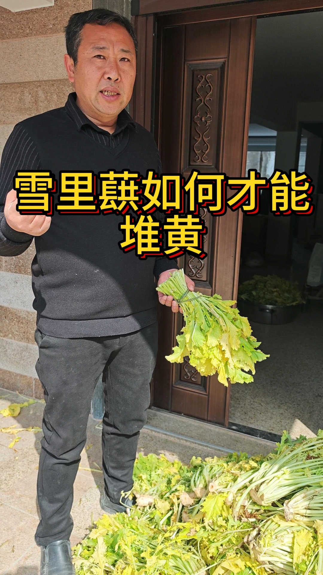 雪里蕻如何才能堆黄,宁波传统咸菜怎么堆黄,大家一起来探讨!