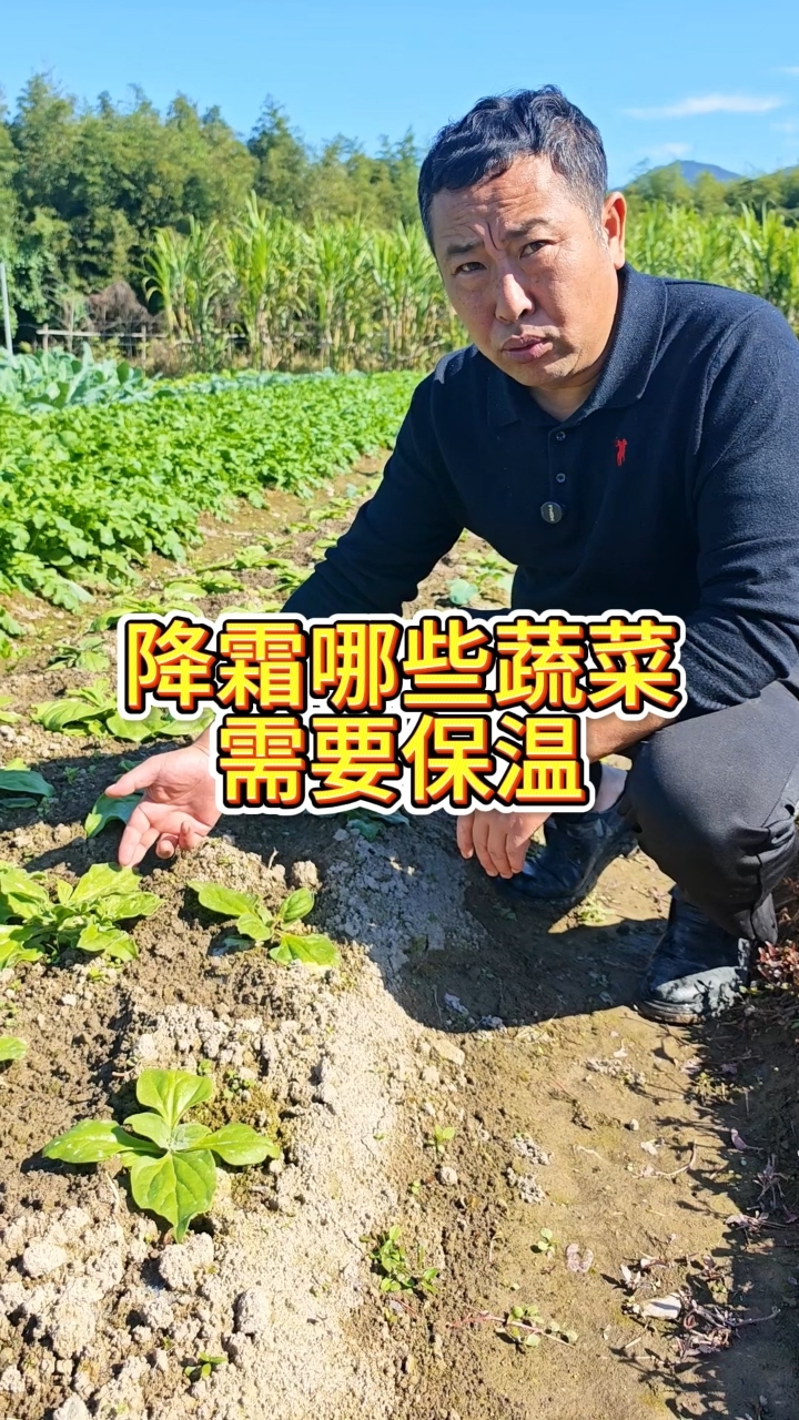 别划走！家庭种植蔬菜提醒！降霜等于给这些蔬菜。