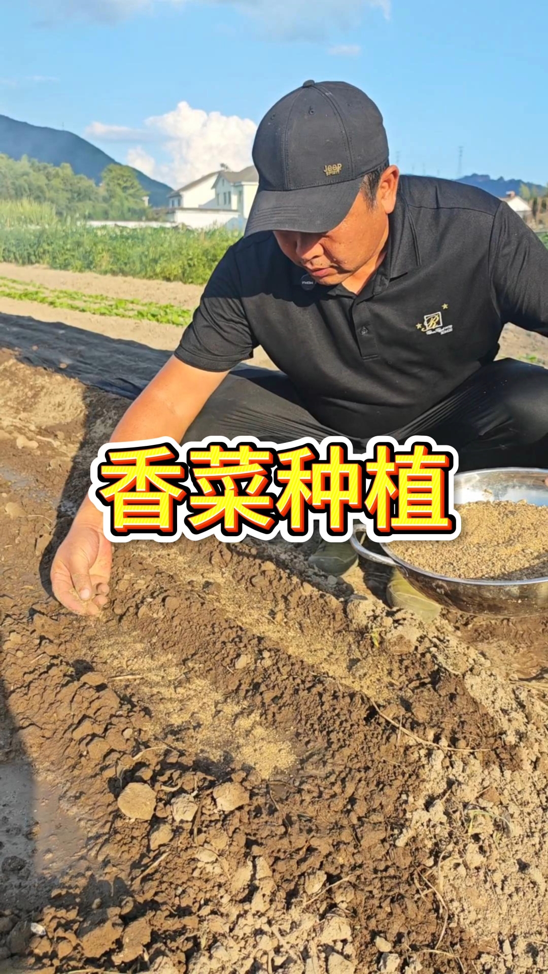 从选种、播种到采收,关键技巧一次讲清!跟着视频做