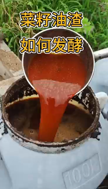 菜籽油渣发酵秘笈,省钱又肥土!榨油剩下的油渣是个宝!