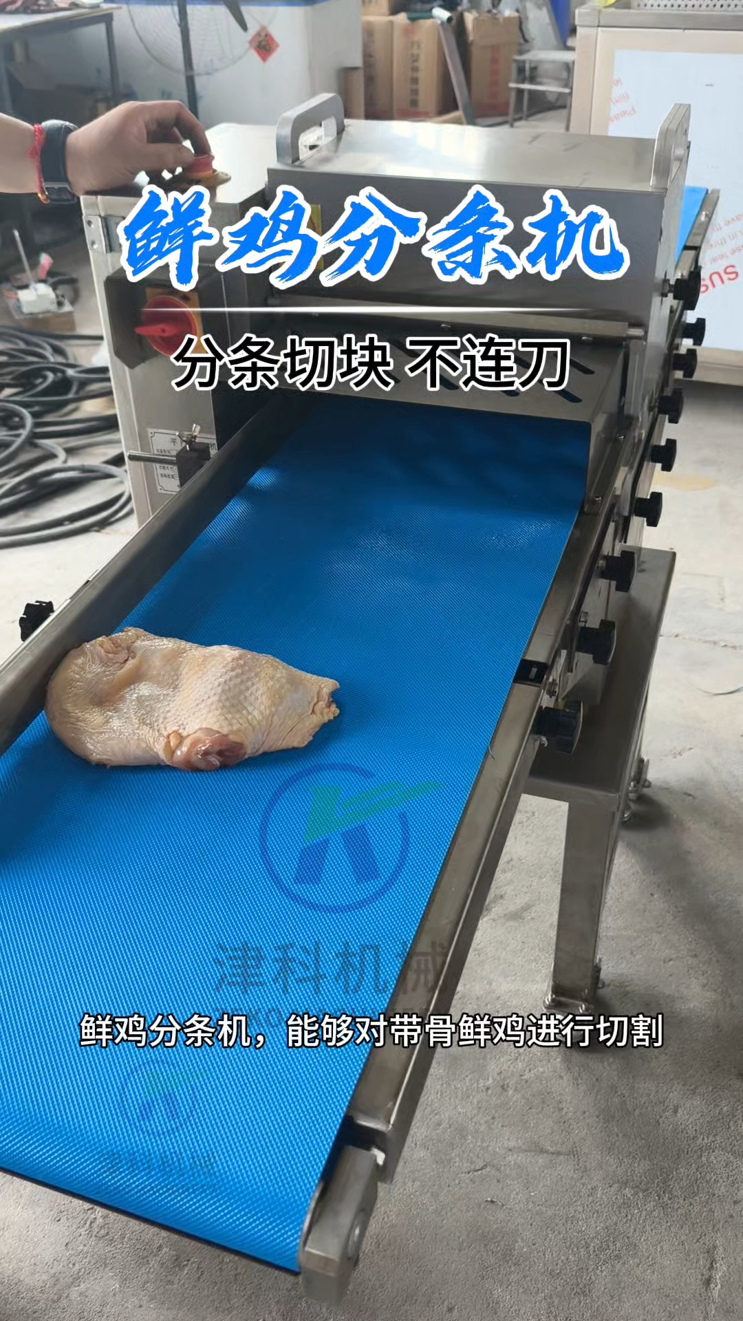 鲜鸡分条机可以对整鸡进行分条切块,切面平整,不连刀,连续切割