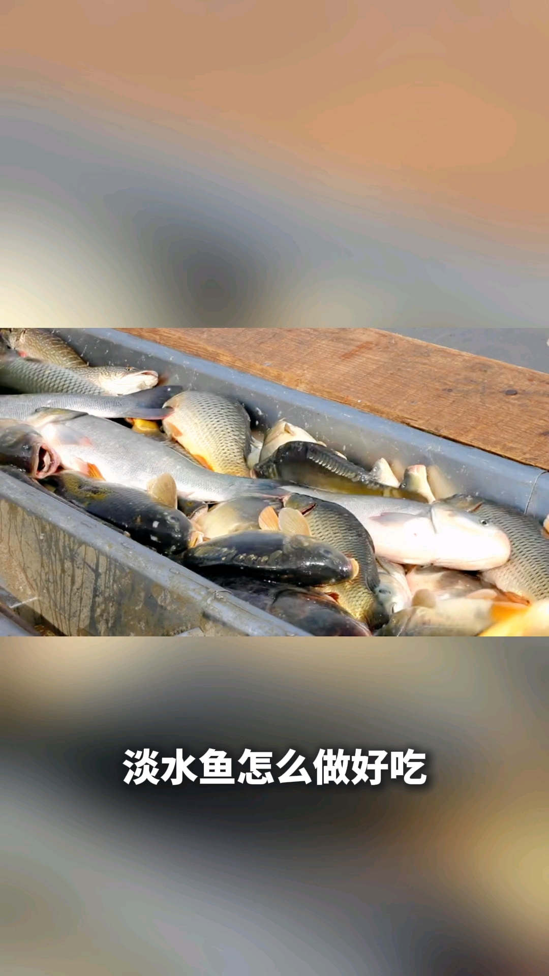 淡水鱼怎么做好吃