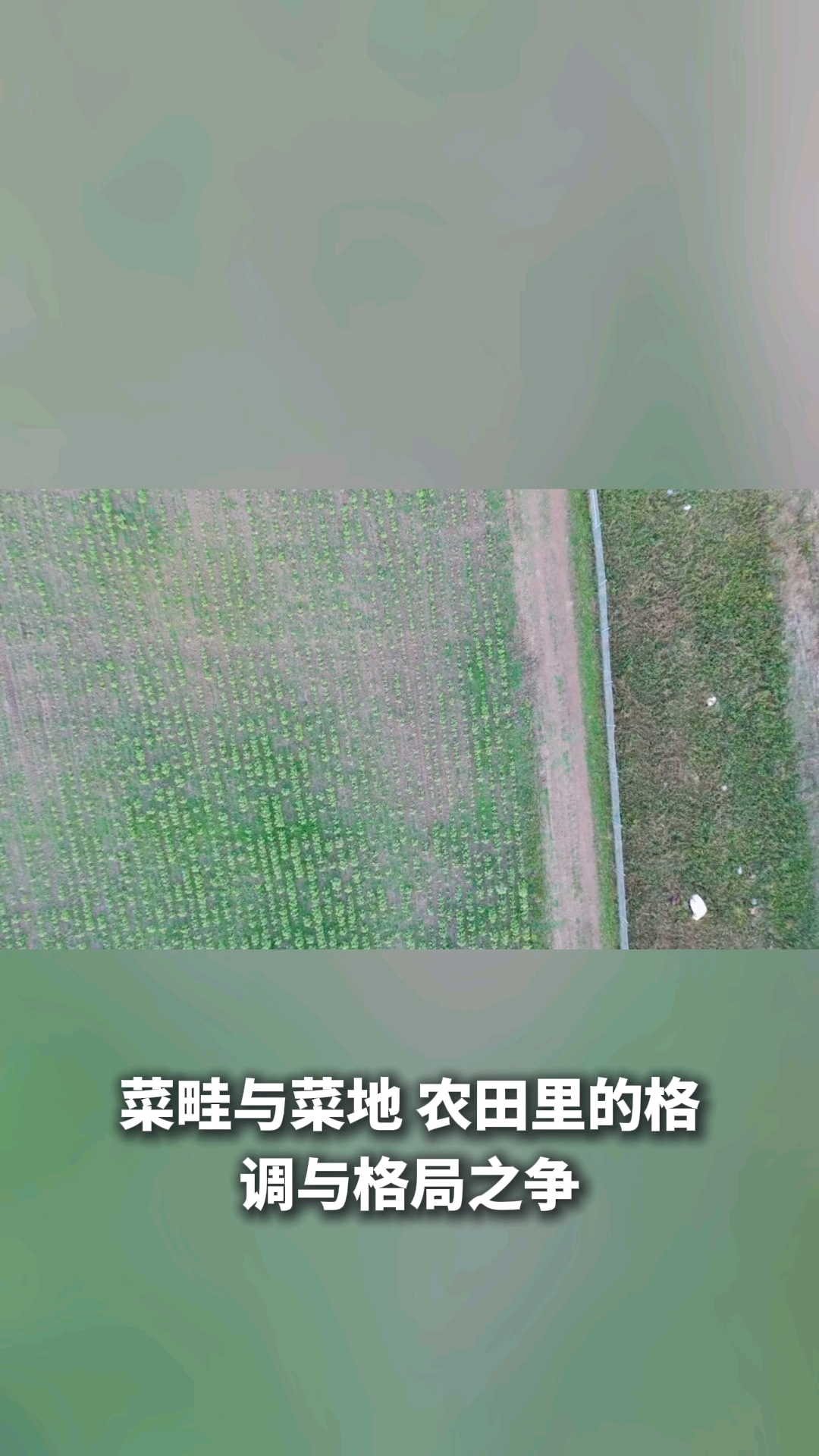 菜畦和菜地有什么区别